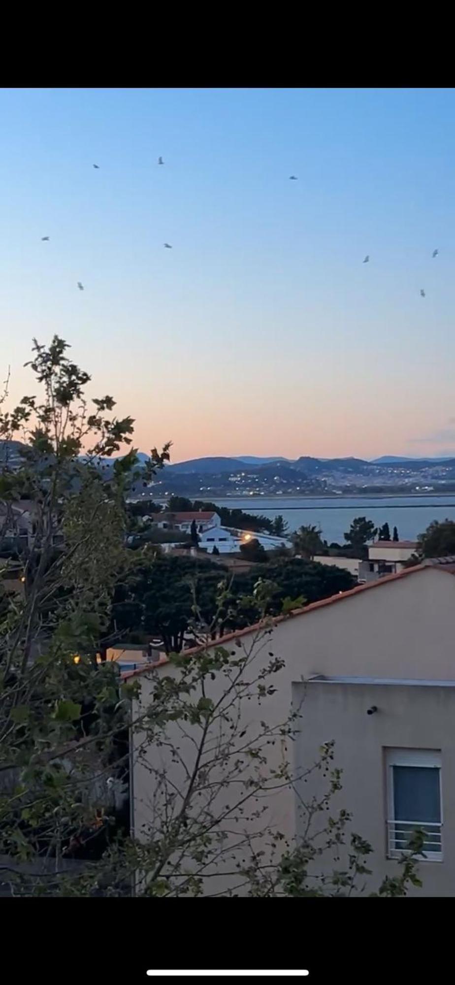 Superbe Duplex Refait A Neuf ! Apartment Hyeres Exterior photo